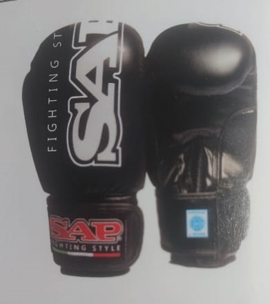 Guantoni Boxe Raptor SAP - immagine 2